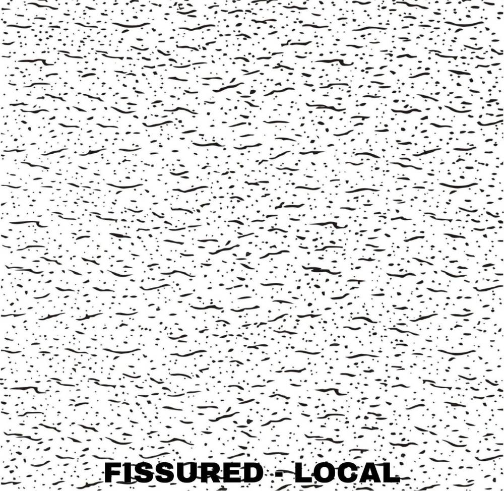 Gypsum Ceiling — Fissured in Islamabad