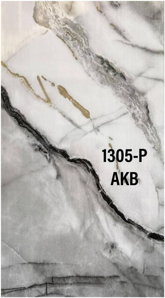 Panel — 1305-P in Islamabad