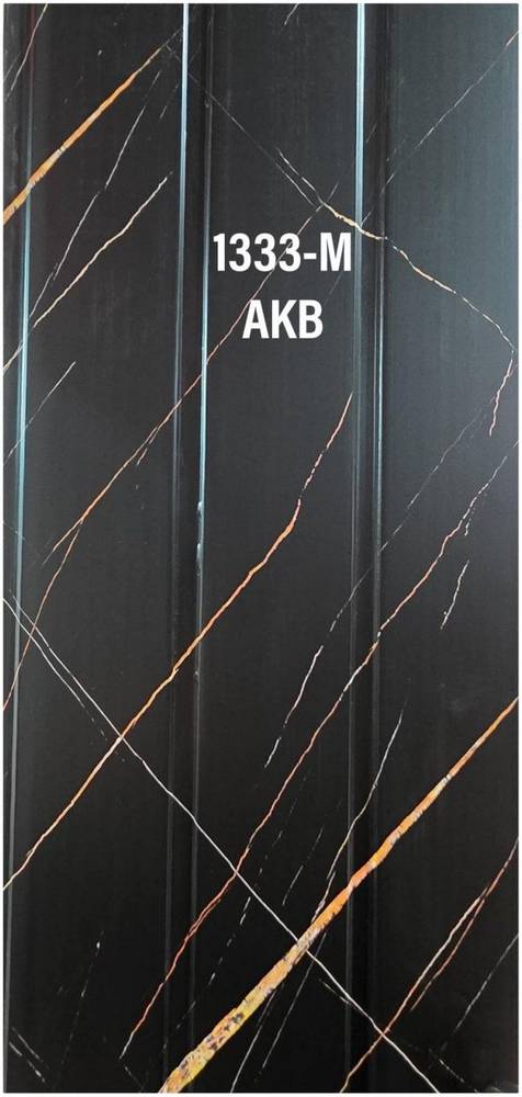 Panel — 1333-M in Islamabad