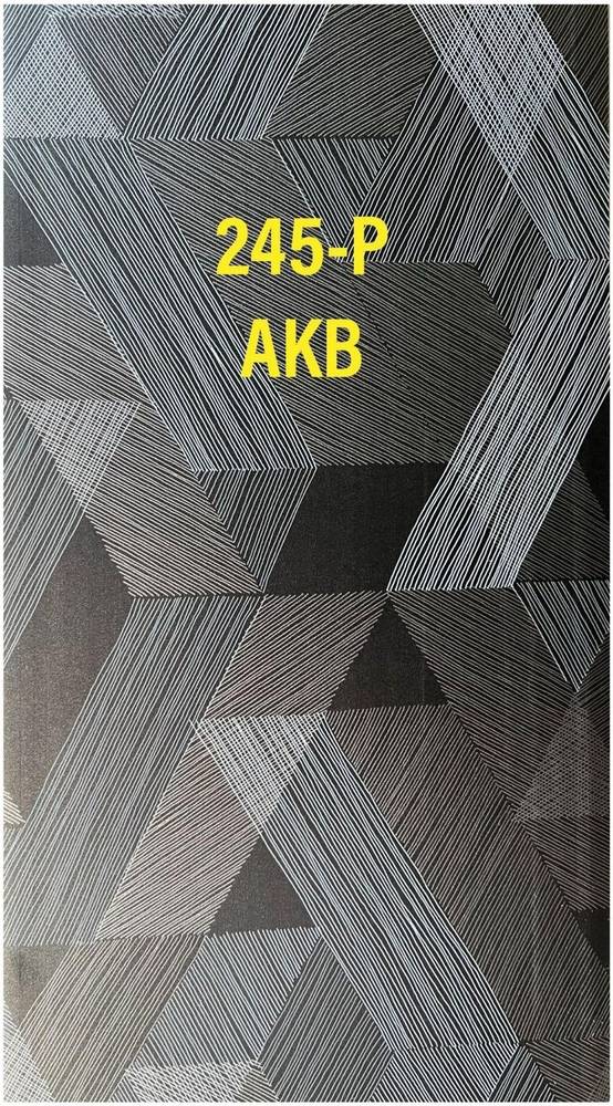 Panel — 245-P in Islamabad