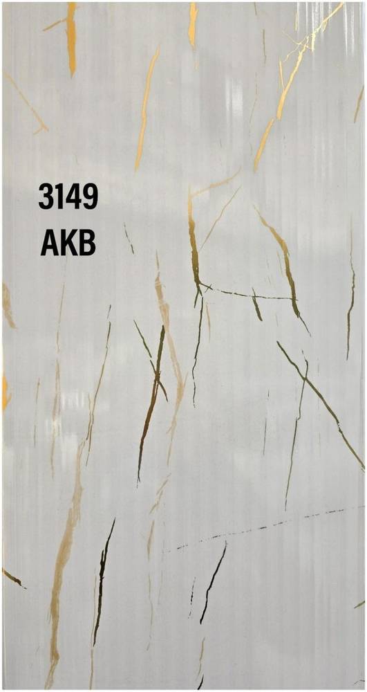 Panel — 3149-AKB in Islamabad
