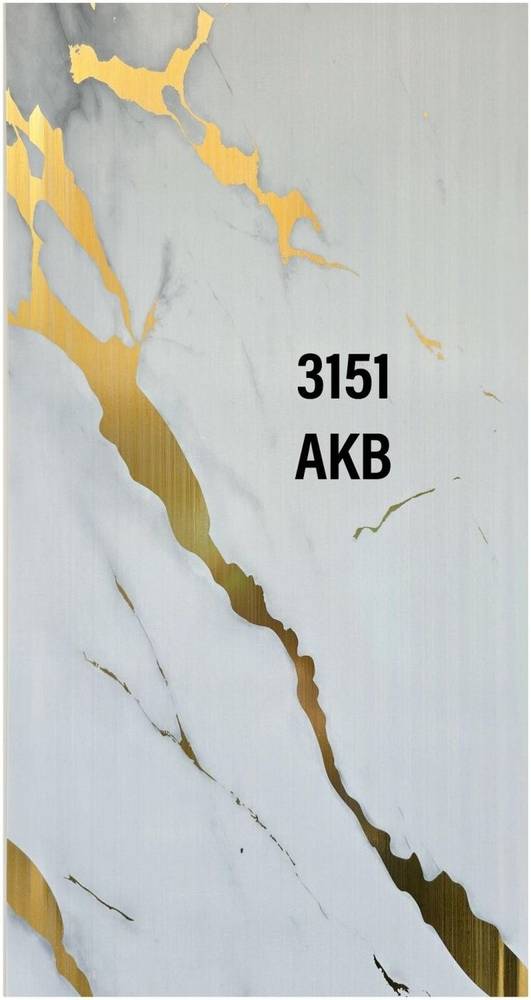 Panel — 3151-AKB in Islamabad