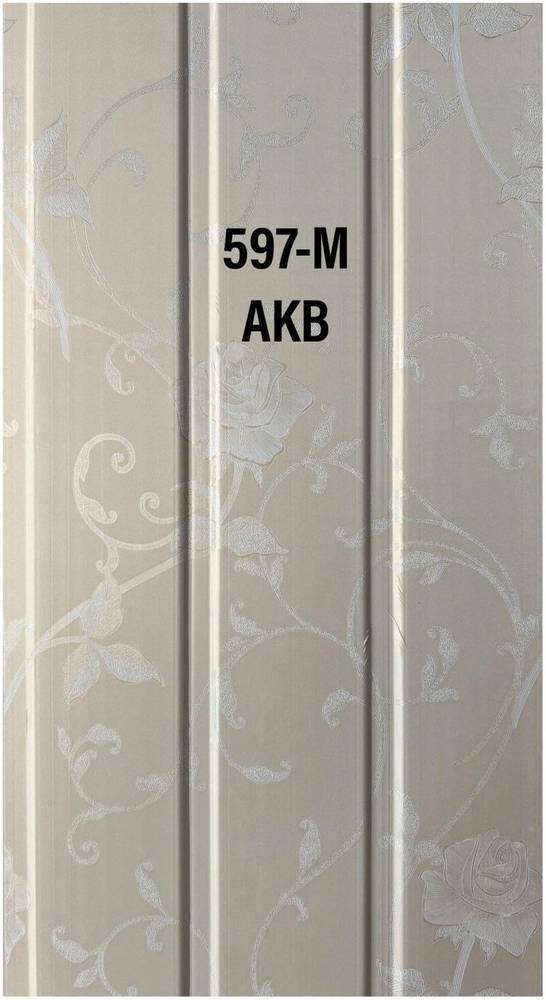 Panel — 597-M in Islamabad